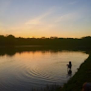 Meet your Posher, Dylan